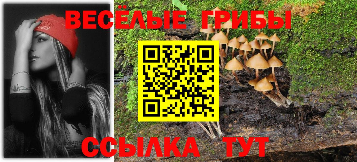Котлас  Галлюциногенные грибы ЛСД  Вход с VPN 