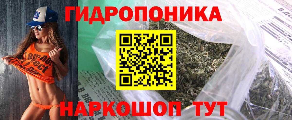 Каннабис марихуана  Вход с VPN  Шишки марихуана VHQ  Котлас  Шишки марихуана гибрид  Шишки марихуана SATIVA & INDICA 